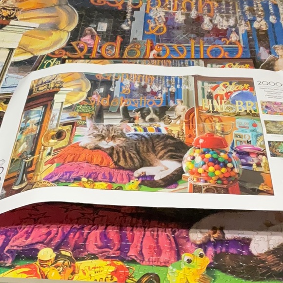 Buffalo Games 2000 Piece Curiosity Shop Puzzle - Picture 3 of 6